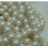 Perle Swarovski 5810 3 mm Pearlescent White Pearl - 20 Pz